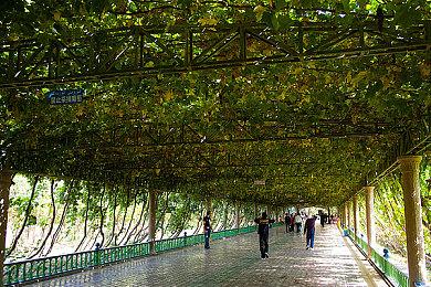 《半条命2 第二章》故事MOD《Swelter》上架steam 